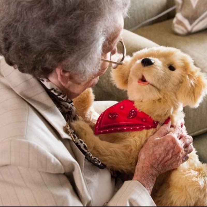 COMPANION PET PUP